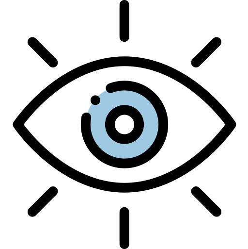 Vision